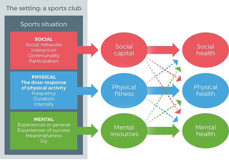 SCforH's tweet photo. How the sport situation provides a health platform? #SCforH #SportforHealth https://t.co/Mgse9vRX0d https://t.co/GtxXjb4TtO