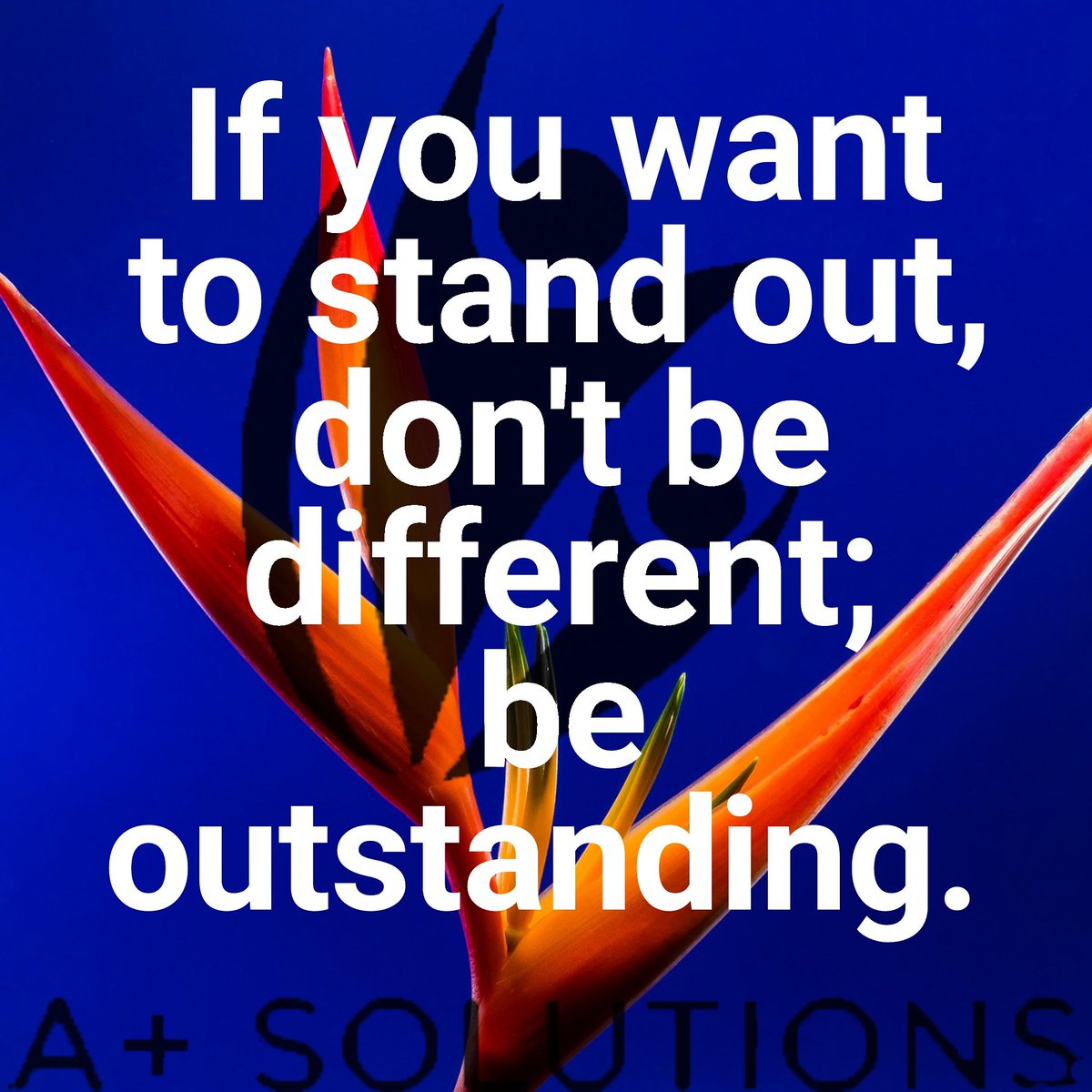 Aplus_Ohio's tweet photo. BE OUTSTANDING
#aplussolutions #children #title1 #tutor #intervention #ohio #adhd #autism #learningdisability #school #quotes #lifequotes https://t.co/qoGG6jFwP8