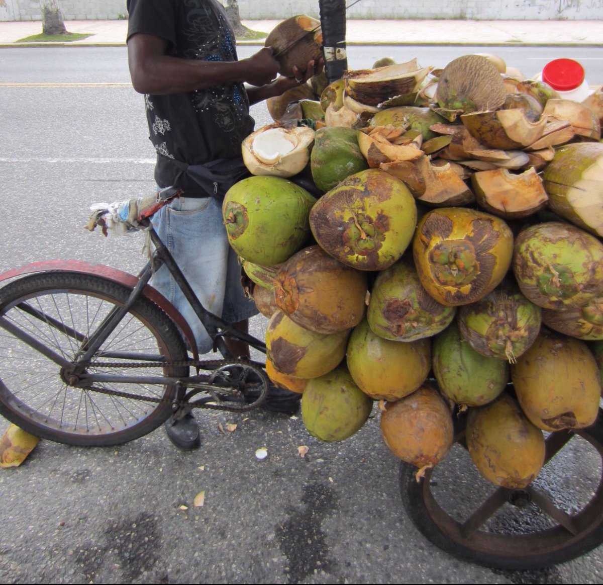Andy00fficial's tweet photo. 🌴SLAND L🌴FE Fresh everything no chemical 😍😍 💦💦💕🔥 Drop ur country flag 🇭🇹 &amp; share #proudCaribbean https://t.co/pPYWPUsesd