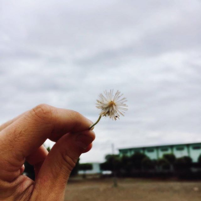 Cecily Ward tweet media