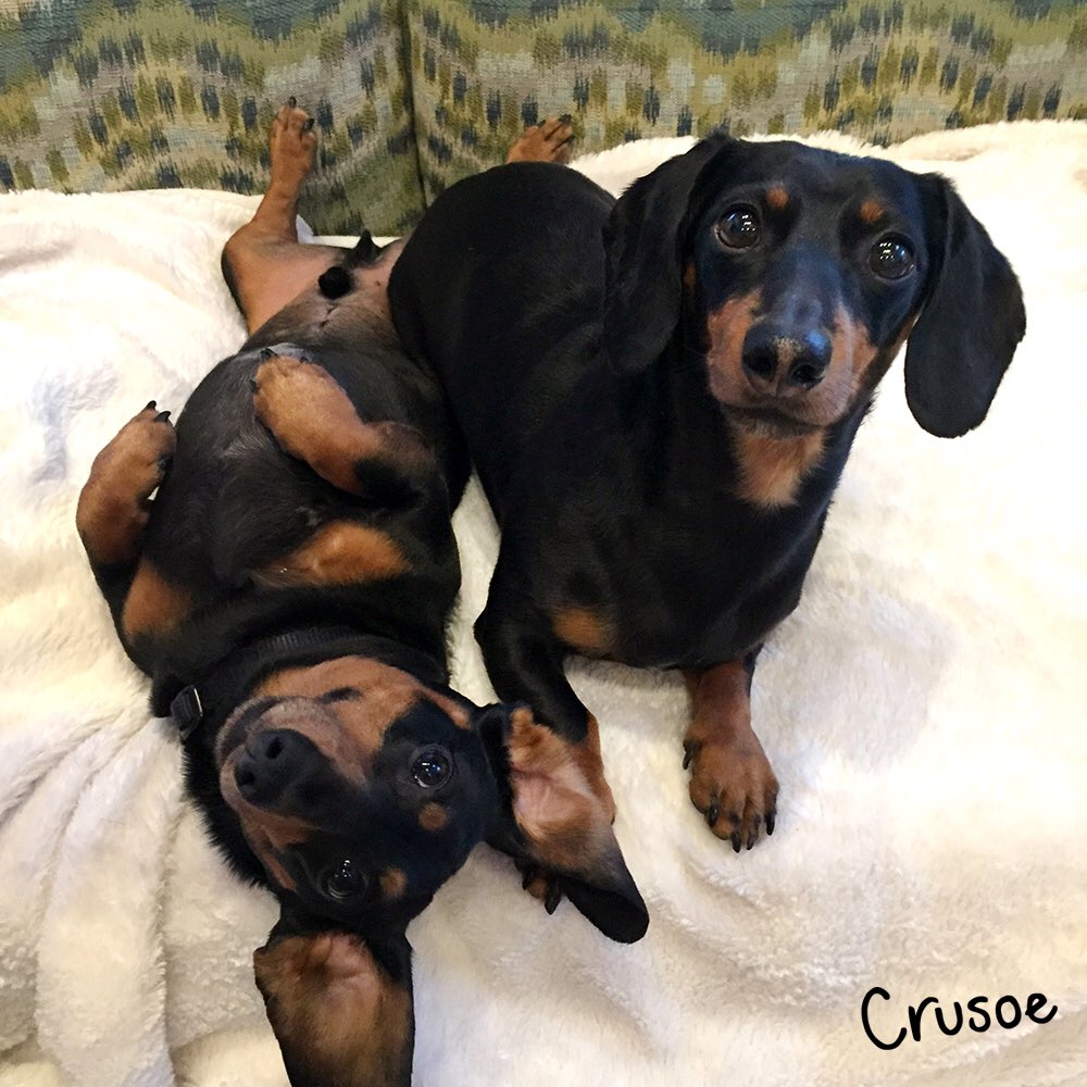 There's one in every family...