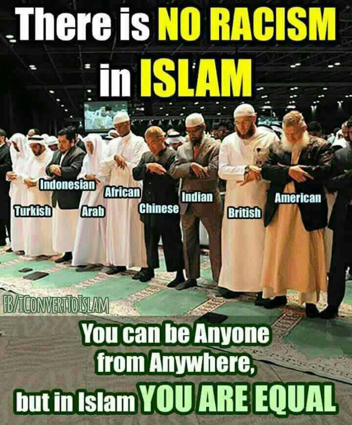 AlexAlex440's tweet photo. Are they afraid from the true teachings of Muhammad?

#Charlottesville
#LeftHandersDay
#MyBiggestPetPeevesAre
#HeatherHeyer
#SkinsCamp https://t.co/NNsdKAzjt5