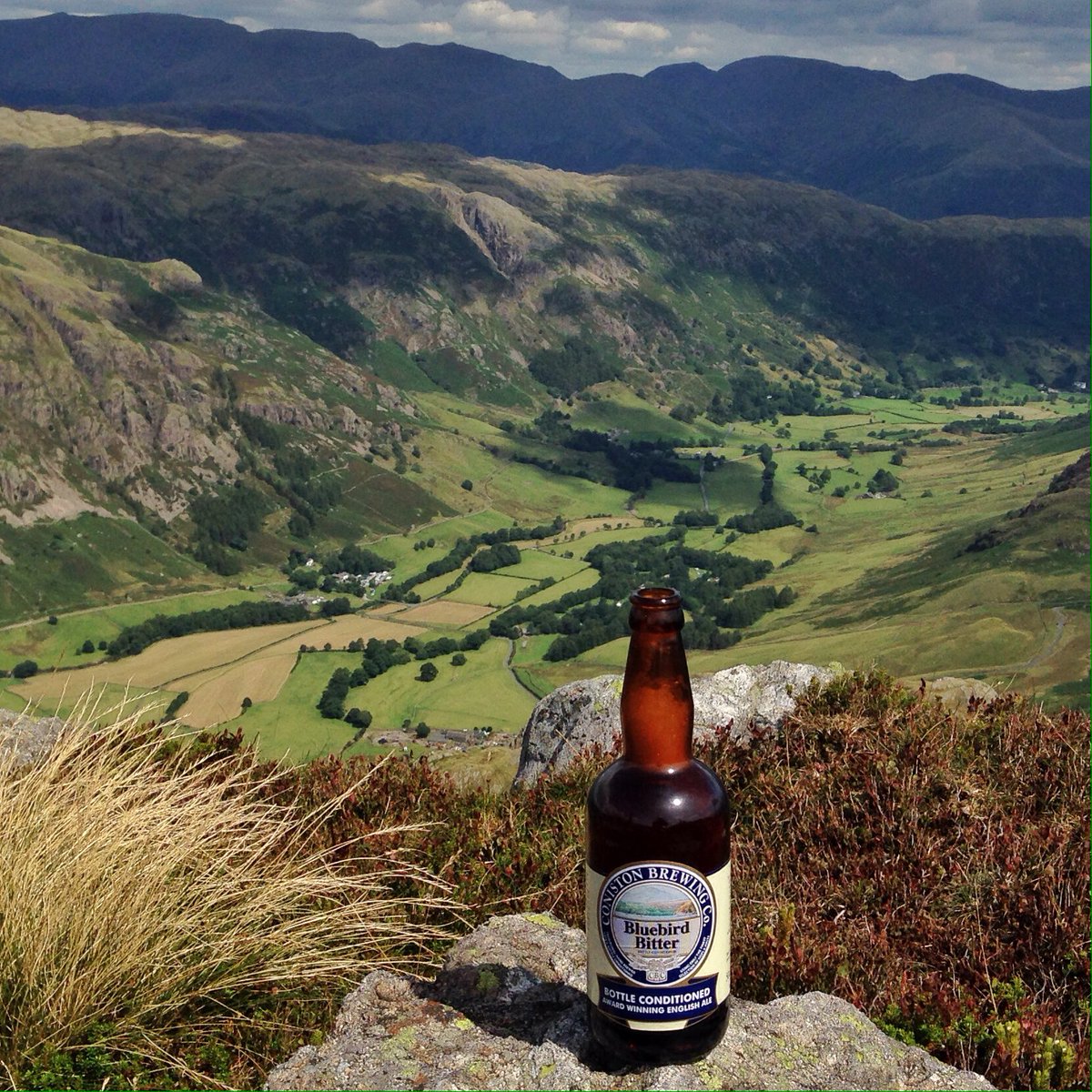 BrightonBeer1's tweet photo. @ConistonBrewCo today I enjoyed your beer on Pike o'Blisco, cheers! https://t.co/XktBbvY4Kv