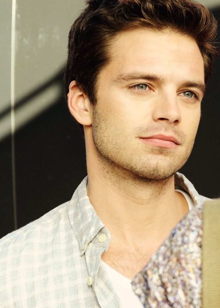 Happy birthday sebastian stan 