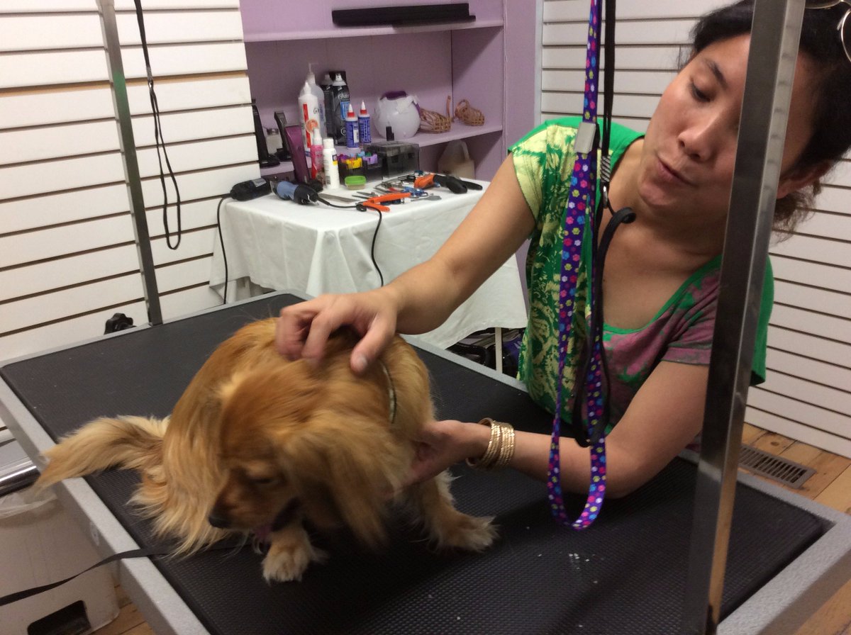 Natural Pet Food Thebest4urpet Twitter