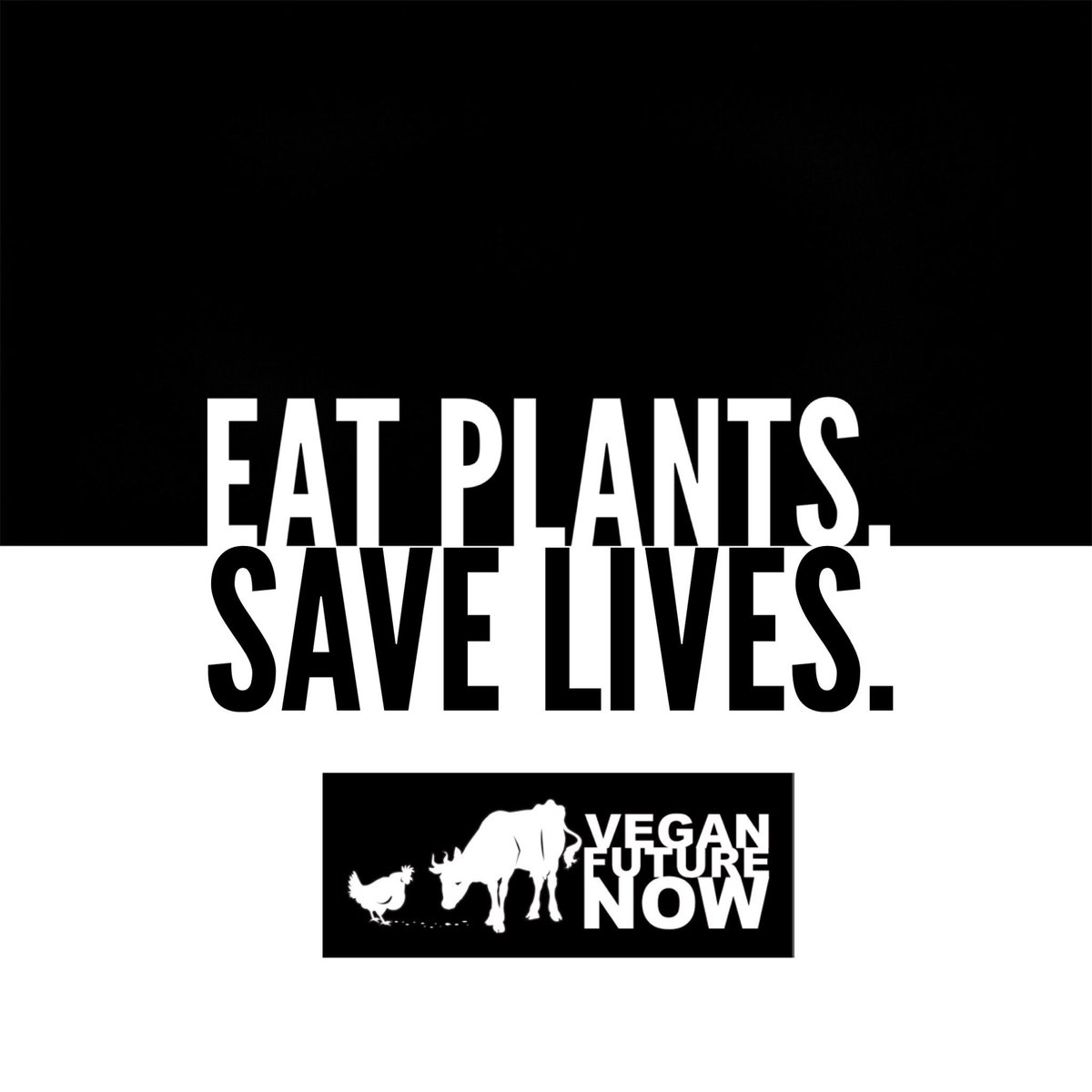 VeganFutureNow's tweet photo. https://t.co/Qb1topocep