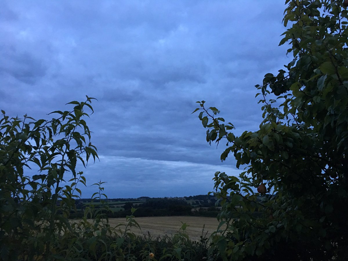 MonicaGrady's tweet photo. I can't even entertain myself by #runningthroughfieldsofwheat because the wheat has been harvested! https://t.co/34rusivE9f