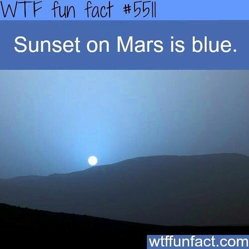 Wow incredible ❤💙
#Science #Curiosity #facts
