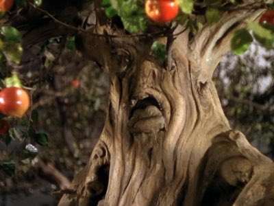 NightmareNerd1's tweet photo. #WhyWeNeedTreesIn5Words so the witch can harass Dorothy https://t.co/C0TI6DRc1G
