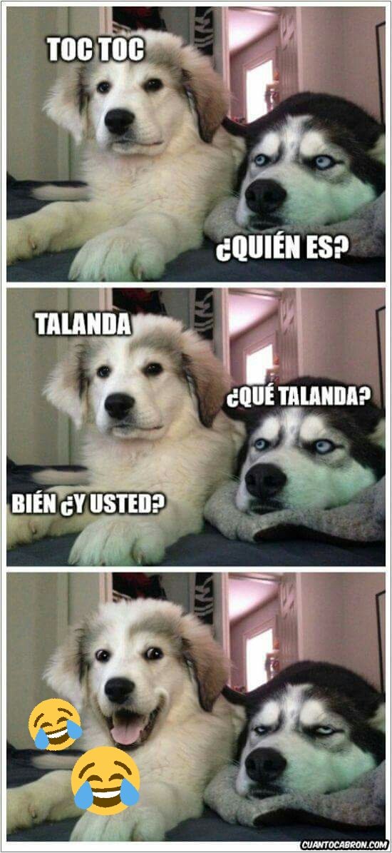 MarFlor90's tweet photo. Jajajaja #MuyDomingo #HumorDePerros 🐕😉😂😂😂 https://t.co/nZRGadBxEu