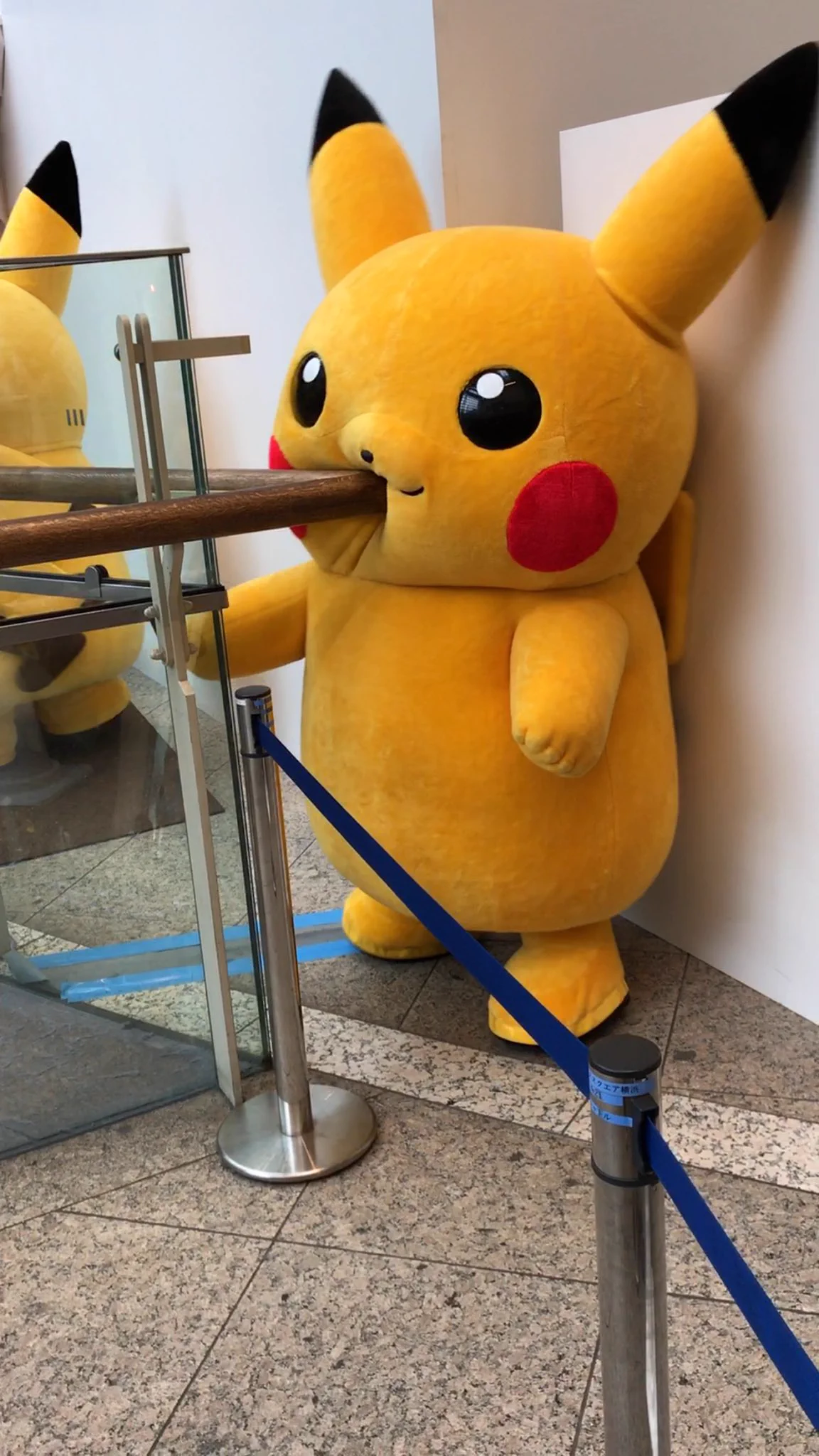 あーっ！ピカチュウが狭いところを通ろうとしたら残念なことになったww