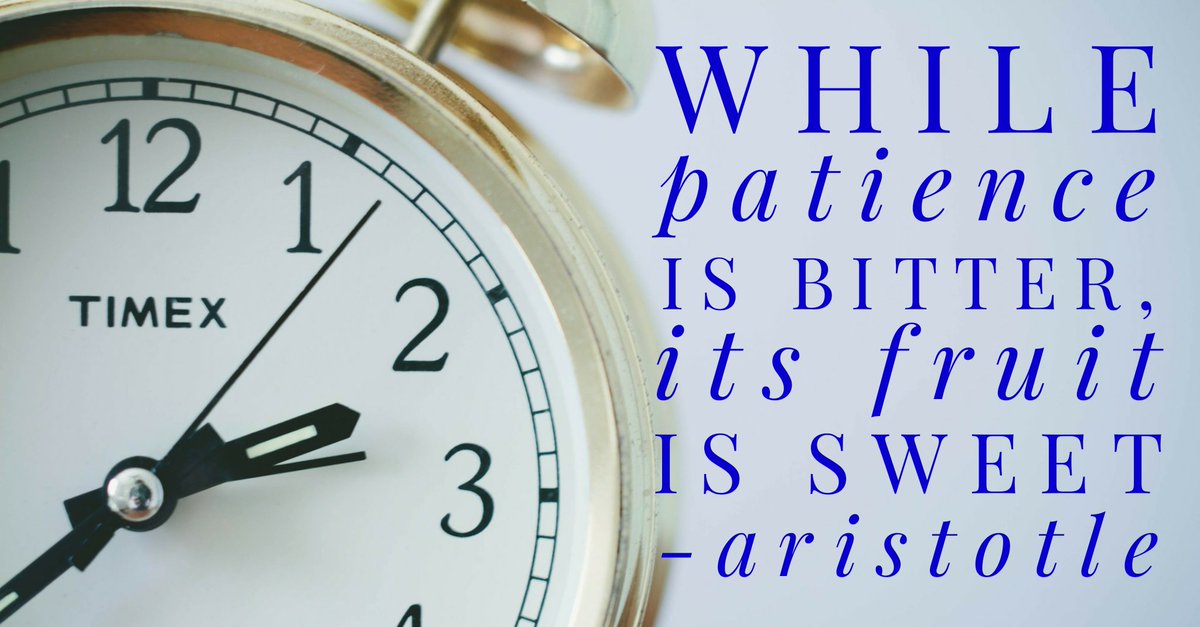 GavinRunde's tweet image. Patience is a virtue
#compoundingreturns #eigthwonderoftheworld #iwantitnow