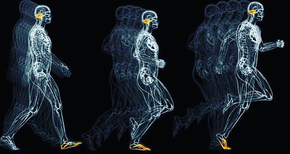Science of Fascial Mechanoreceptors and how to use it. bit.ly/BehindSOMA  Helping people #MoveFeelLivebetter #feelsoma