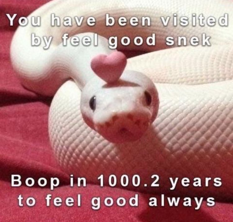 RespectfulMemes's tweet photo. https://t.co/Xi6q3m2plM