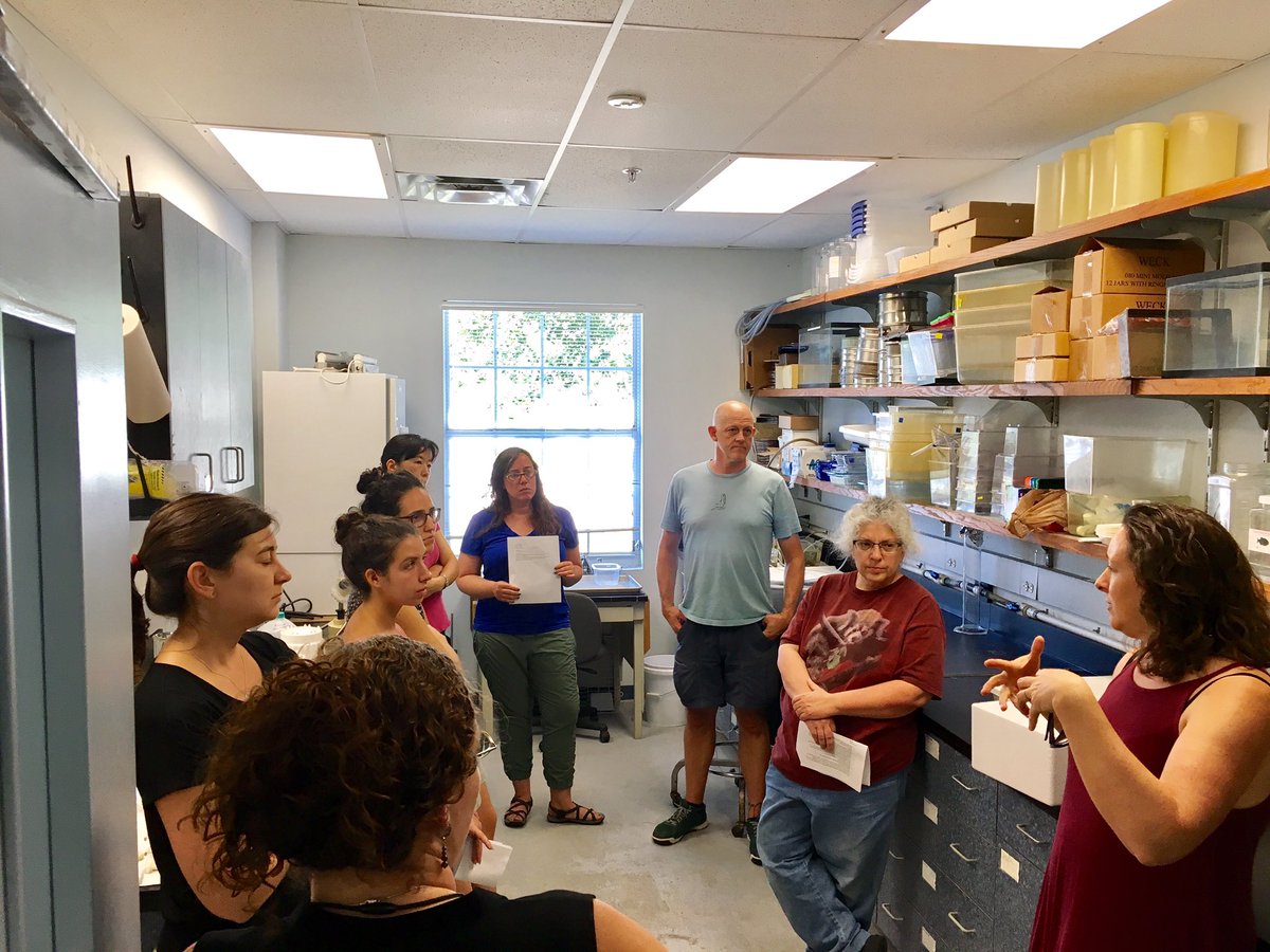InvertebratesDC's tweet photo. The StreamCode team has arrived to the Smithsonian Marine Station and ready to start sampling #StreamCodeSMS #OsbornLabSI #GulfStream https://t.co/3SPNbh3ZGh