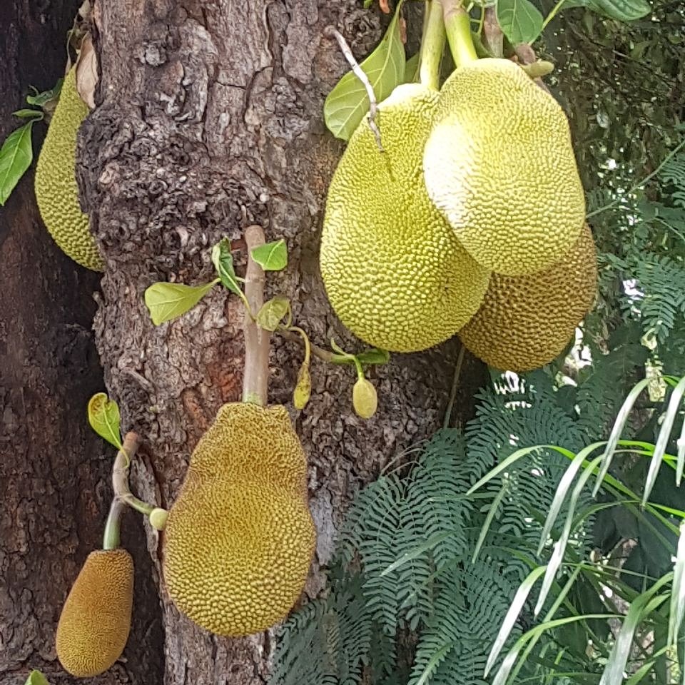 Ricardo Luiz Natale (@natale_ricardo) on Twitter photo 