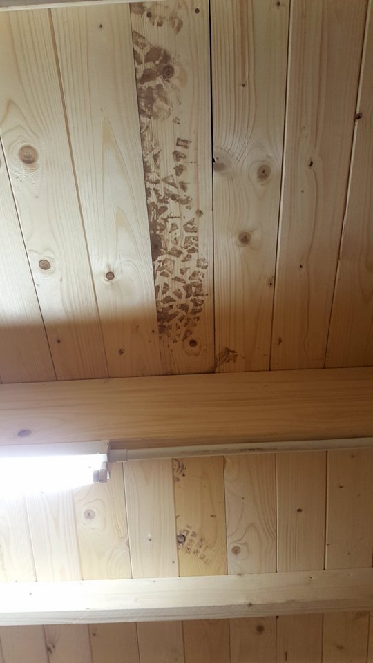 Dean Burnett On Twitter My Writing Cabin Due To Muddy