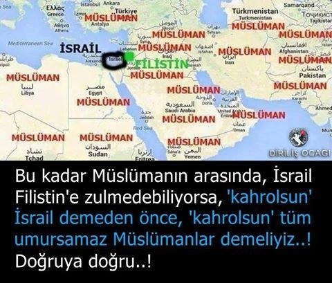 furkan mehmet (@mmurcaglayan1) on Twitter photo 