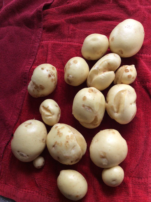 Dr. Joe Klassen ND (FishCreekND) Twitter