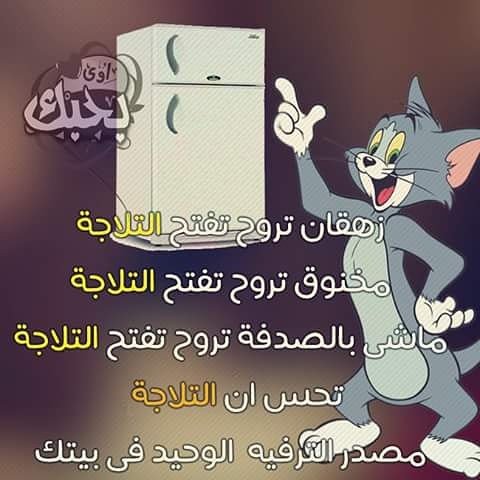 Abo Renad (@aborena97061096) on Twitter photo 