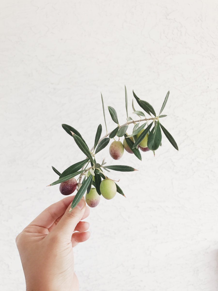 gracekim tweet media