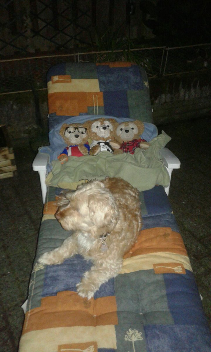 Looked at the shooting stars with poppa ,<a href="/Dutchie_Duffy/">#Toddy's friend Dutchie- Duffy 🐻</a>,Jimmy and guard dog Rakker. Saw loads and made loads of wishes (all for choccie).