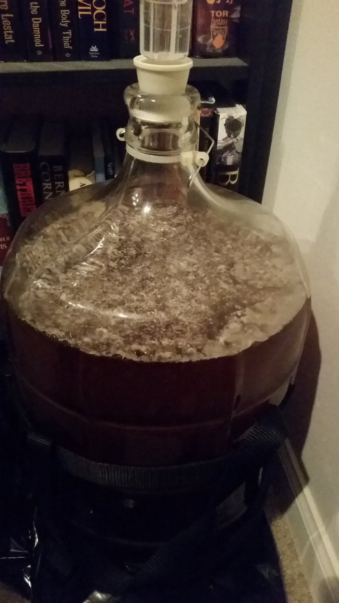 One month after putting the brettanomyces into the saison and the bugs are starting to get to work!