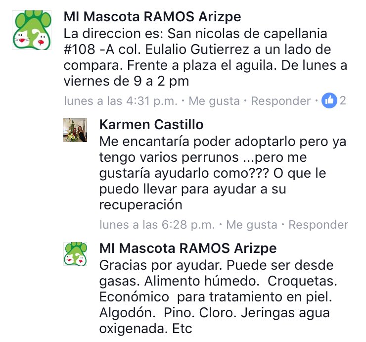 Froggieland's tweet photo. @franciscozea @MrElDiablo8 @JerrxG13 Actualización #Pozzy #RamosArizpe #Coahuila necesita mat p/curación, alimento etc. ➕info en fotos cc @franciscozea @MrElDiablo8 @JerrxG13 https://t.co/D6keJfayij