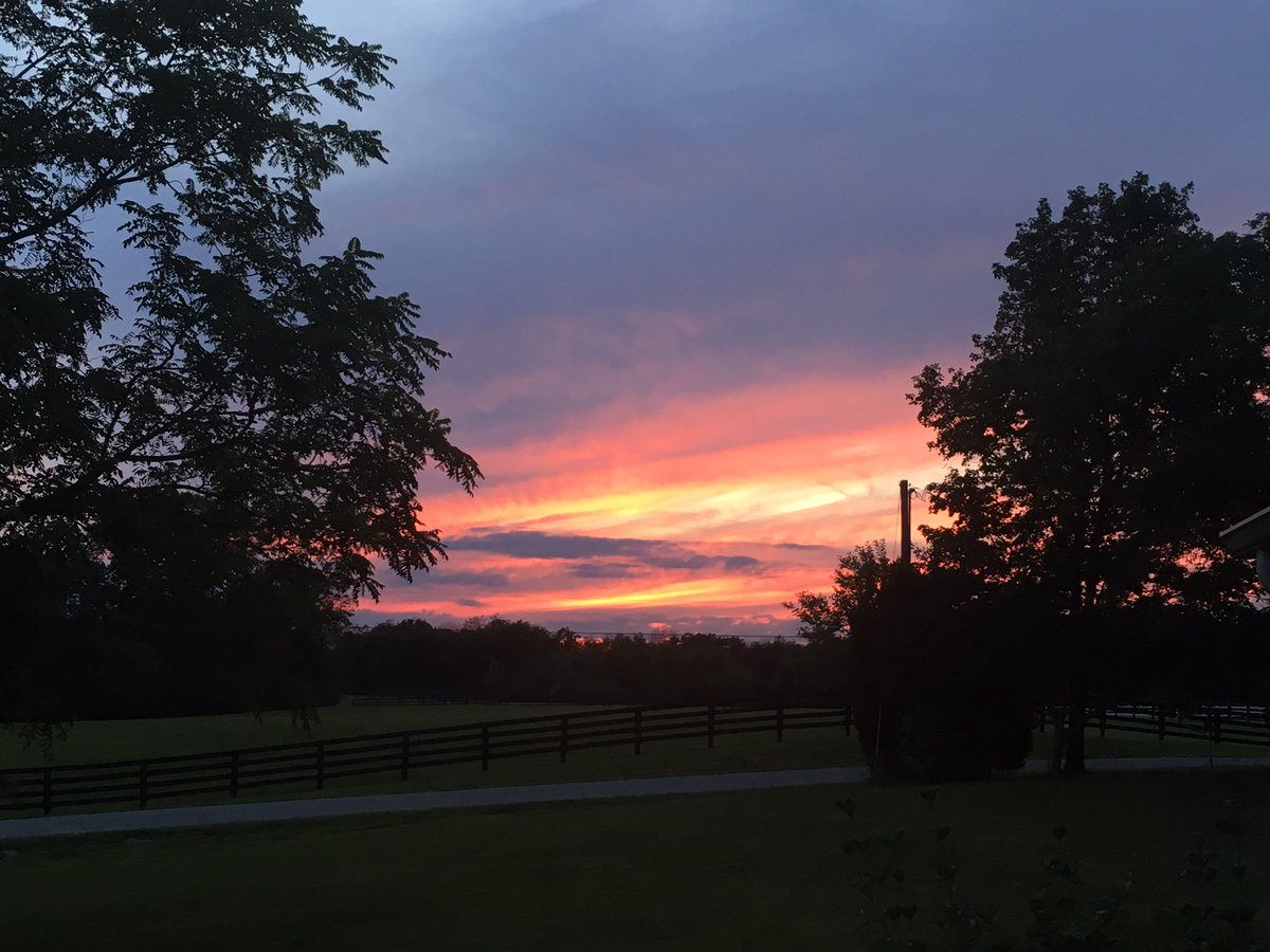 LaurieQ_Designs's tweet photo. Many are watching football right now. I prefer my view https://t.co/MVZ0daSyYv