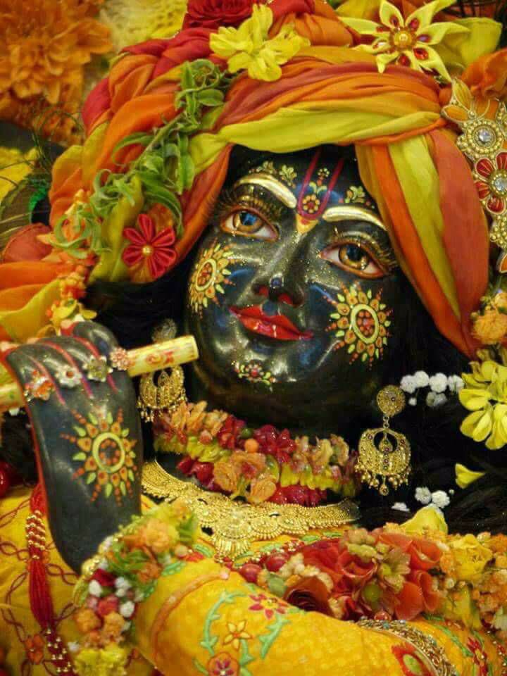 DrDishaJasani's tweet photo. ❤दिले बेताब हुआ जाता है
यूं लगे कोई हर पल मुझे बुलाता है
है हसरत पहुँच जाऊं उस तक
वो मेरा "कृष्णा"..ही है जो
वृन्दावन से मुझे आवाज लगाता है🙏 https://t.co/lghhIbMy4Y