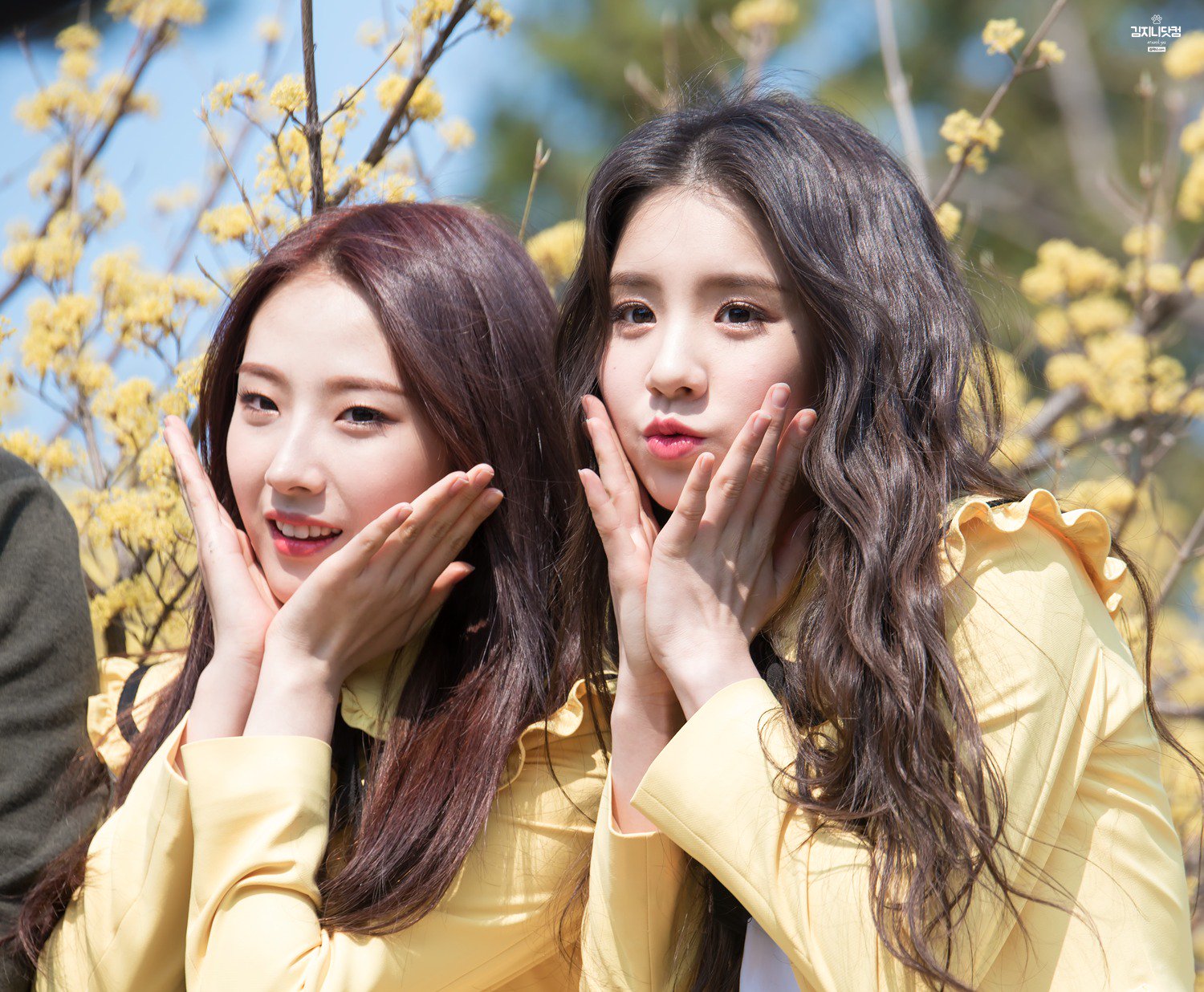 DHJuFLRVYAAstyJ.jpg:orig