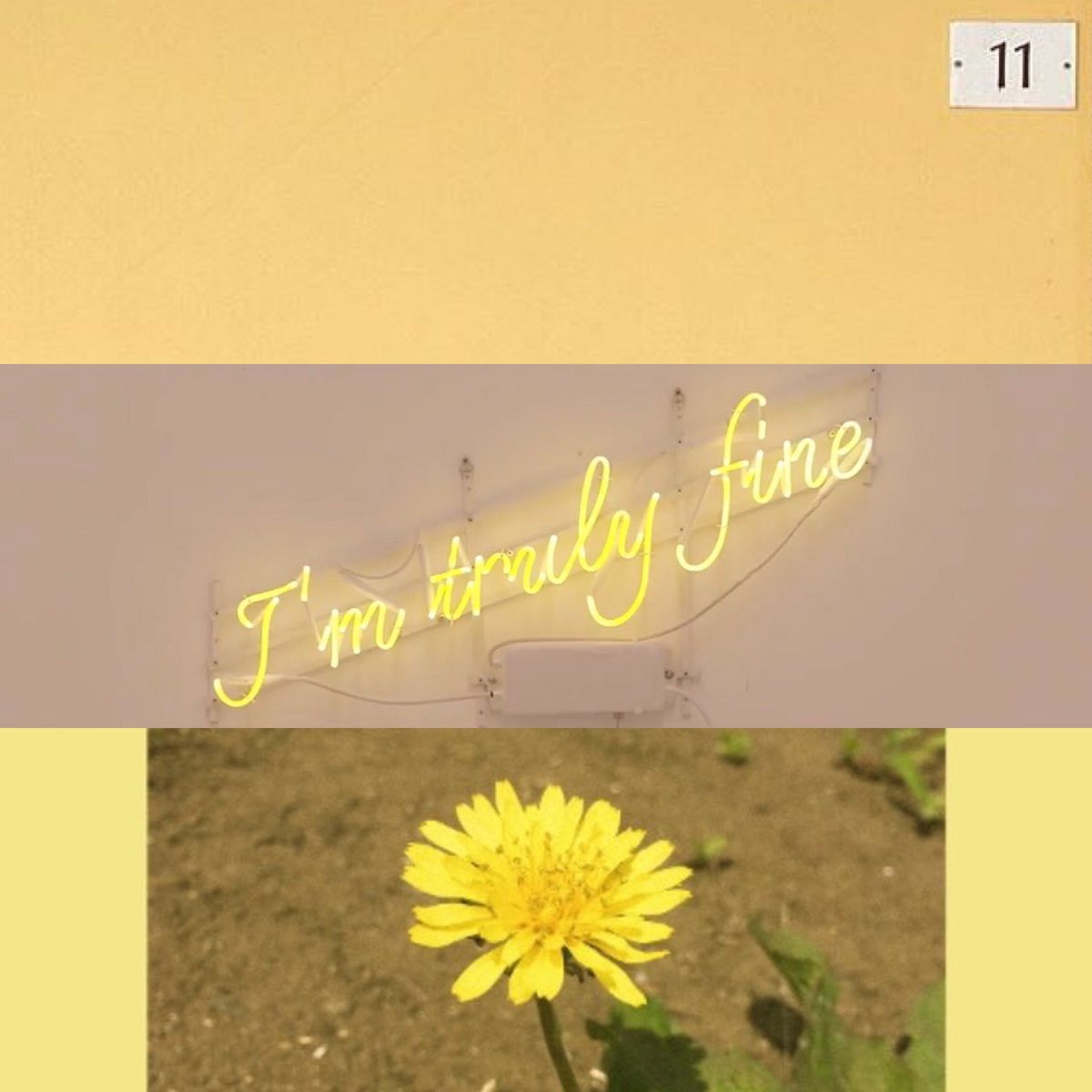 hifloralbye's tweet photo. 💛🌻🌼💛
ʕ•ᴥ•ʔ https://t.co/exUMx2jcE9