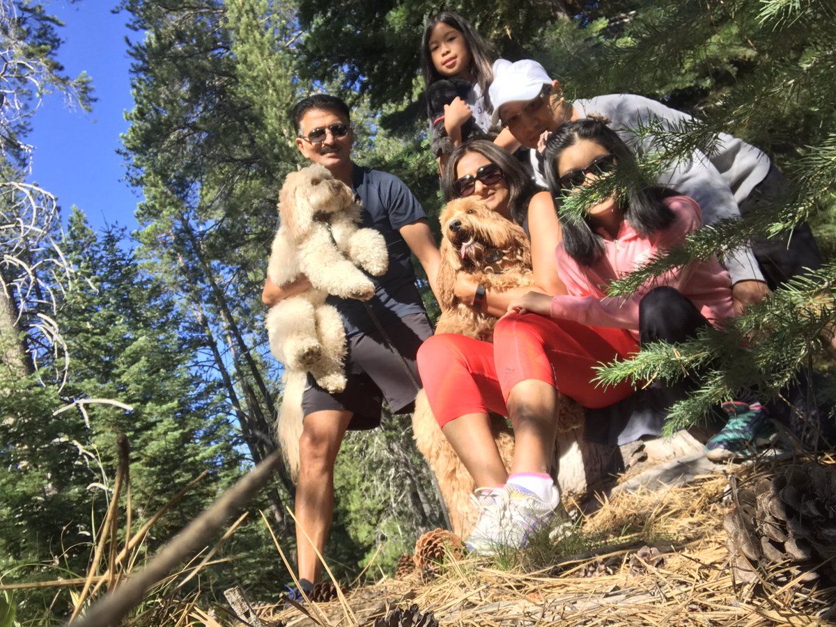 Salima Lin tweet media