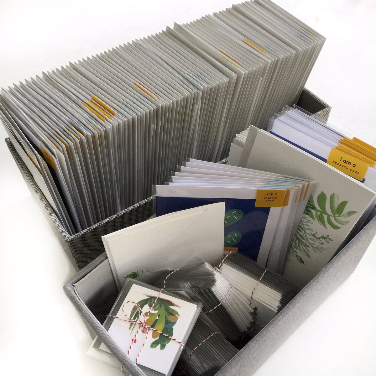 one_per_week's tweet photo. It's Plants-O-Plenty this month for OPW...get in on the snail mail fun. https://t.co/yYqVamQ124 https://t.co/W0O117gyVD