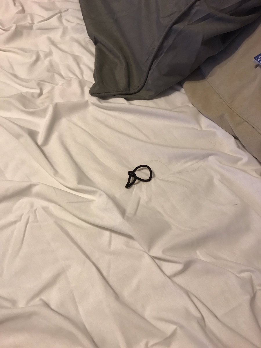 AbRFoXXX's tweet photo. @LaurenNicholee you left your hair tie in my bed bae https://t.co/YCTsf5zzA0