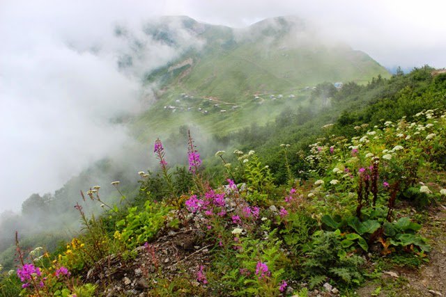 Diamondtraveltr's tweet image. صباح الخير مع اجواء الشمال_التركي #طرابزون #مرتفعات_زيكانة