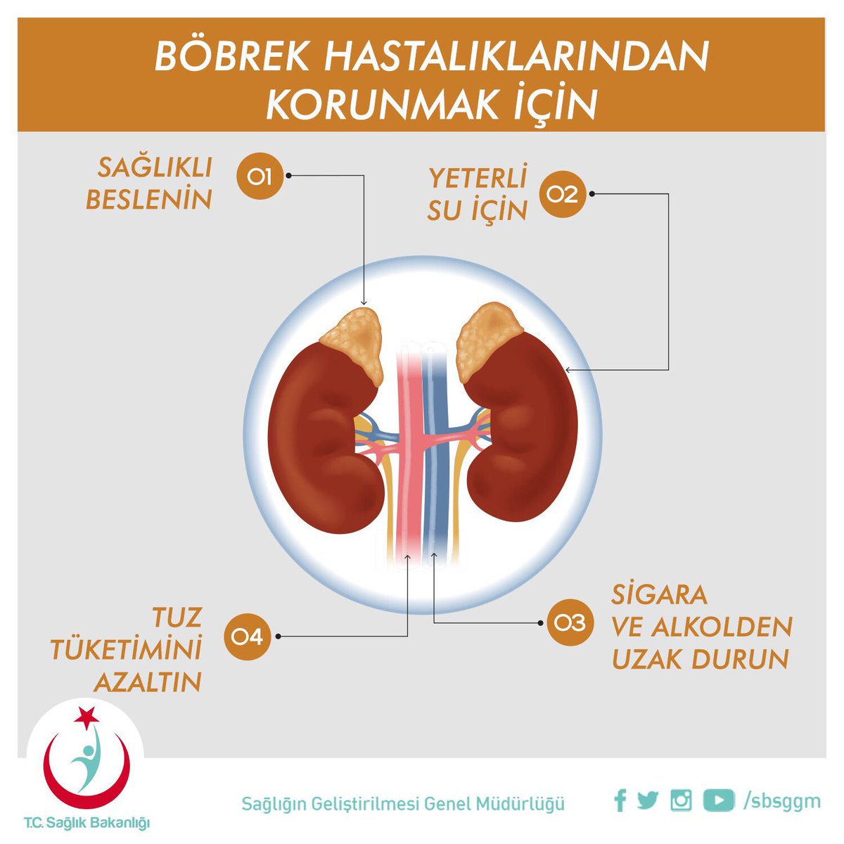sbsggm's tweet photo. Böbrek hastalıklarından korunmak için,
Sağlıklı beslenin
Yeterli su için
Tuz tüketimini azaltın
Sigara ve alkolden uzak durun https://t.co/4UHMKUiDfQ