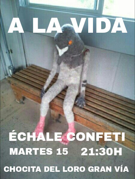 SORTEO DE ENTRADAS PARA MAÑANA MARTES A LAS 21:30h en <a href="/chocitadelloro/">La Chocita del Loro</a> de GRAN VÍA.
SIGUEME Y HAZ RT.
atrapalo.com/entradas/raul-…
#DIADELAPALOMA