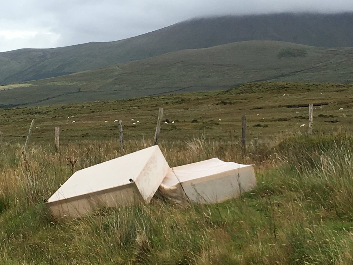 IT Illegal Dumping tweet media