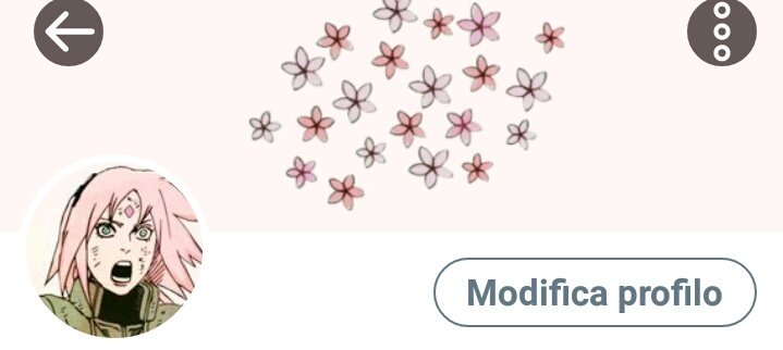 xlayoutss's tweet photo. 🌟Layouts🌟

Sakura Haruno – Naruto https://t.co/FnBhI64EXi