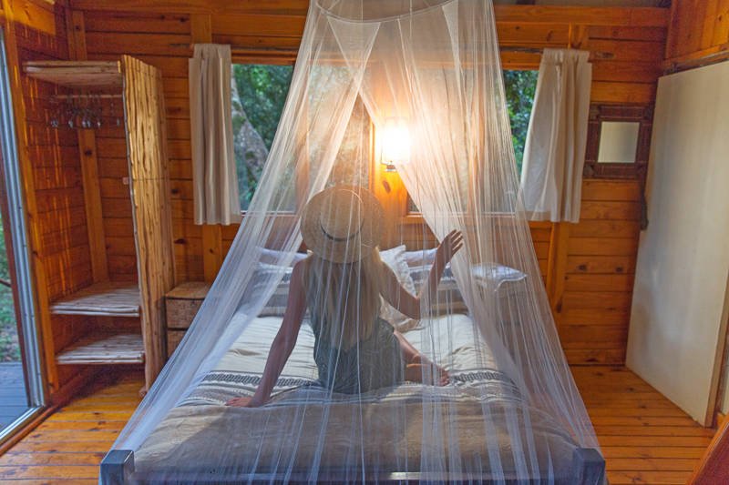 Start your Monday off right with <a href="/campsbay_girl/">Carlinn</a>'s 10 dreamy pics of a #goLimpopo adventure #WeOpenAfrica campsbaygirl.com/10-photos-will…