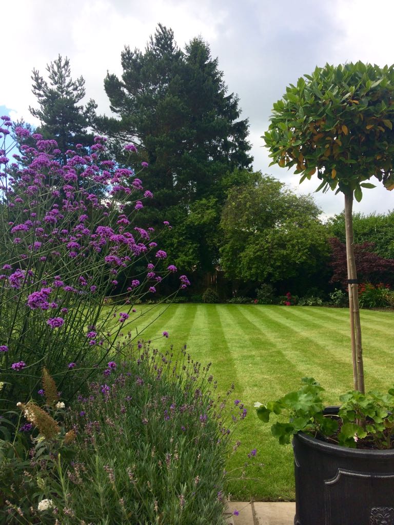 Turners Nursery (TurnersNursery) Twitter