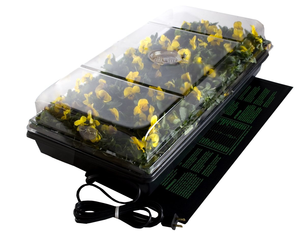 castle_greens's tweet photo. Propagation Starter Heating Pad/Seed Germination Starting Heat Mat
Shopping Now>>>https://t.co/XiN60BNh5B
#castlegreens #trijydroponics https://t.co/PpUI6kFCKT