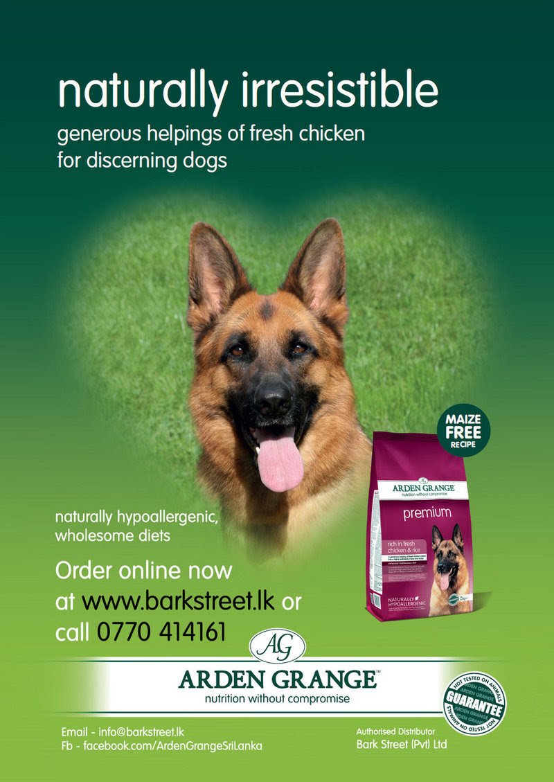 iContactLanka's tweet photo. Arden Grange : Arden Grange premium #dog #food.#lka #iContactLanka #ArdenGrange https://t.co/IoT64R4Izy