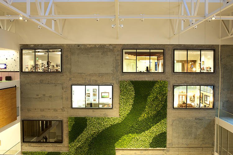 Pourquoi faudrait-il intégrer la nature au bureau? #vegewall po.st/Qm3Mid
