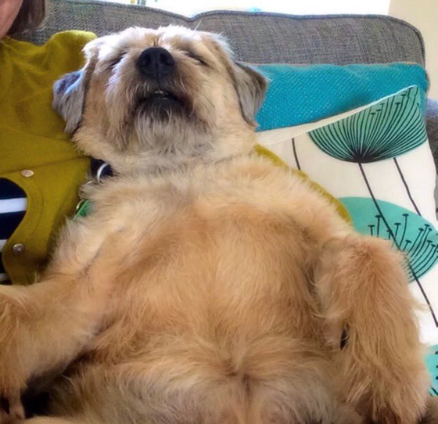 helbo1's tweet photo. @BBC6Breakfast @BBC6Music @shaunwkeaveny Or... #rounddog https://t.co/4SXSOpf2Ko
