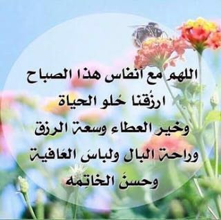 نمر العالي (@nm44tt) on Twitter photo 