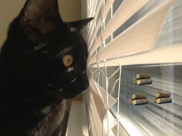 SplunkUK's tweet image. A few tips for peeping through Windows 👀  As in, peeping through the #datalogs on your Windows machine. splk.it/2hNgJsz