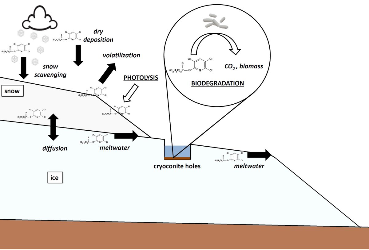 microDISAT's tweet photo. Do bacteria in cryoconite degrade pesticides deposited on glaciers? Find the answer in our recent paper. https://t.co/AV2sZXRob8 https://t.co/dL6eXImpz1
