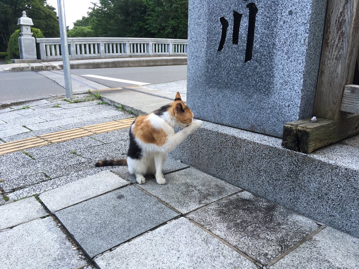 うにゅほ君 遠野幻想物語 東方妖々夢の2面道中の曲なんですが その名前の元ネタの地名の場所に行ってきました 岩手県 遠野市 東方聖地巡り楽しいっすよね 最高でした 東方 聖地巡り 遠野幻想物語